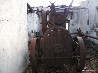 zzena-11-03-2013 08-57-07